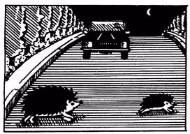 Eine Illustration von zwei Igeln die versuchen die Straße zu überqueren, im Hintergrund kommt ein Auto