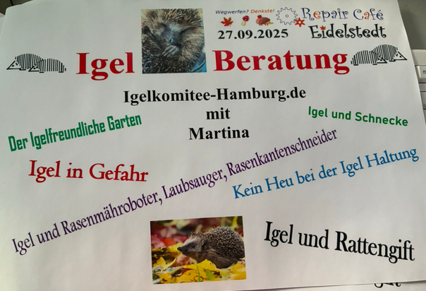 Igelberatung im Bürgerhaus Eidelstedt